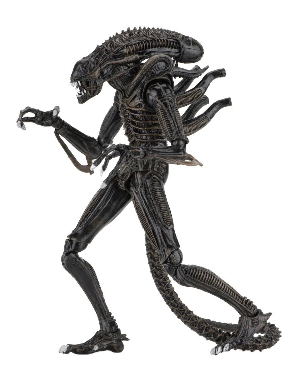 Aliens Ultimate Alien Warrior (1986) Brown Alien 7″ Scale Action Figures - NECA