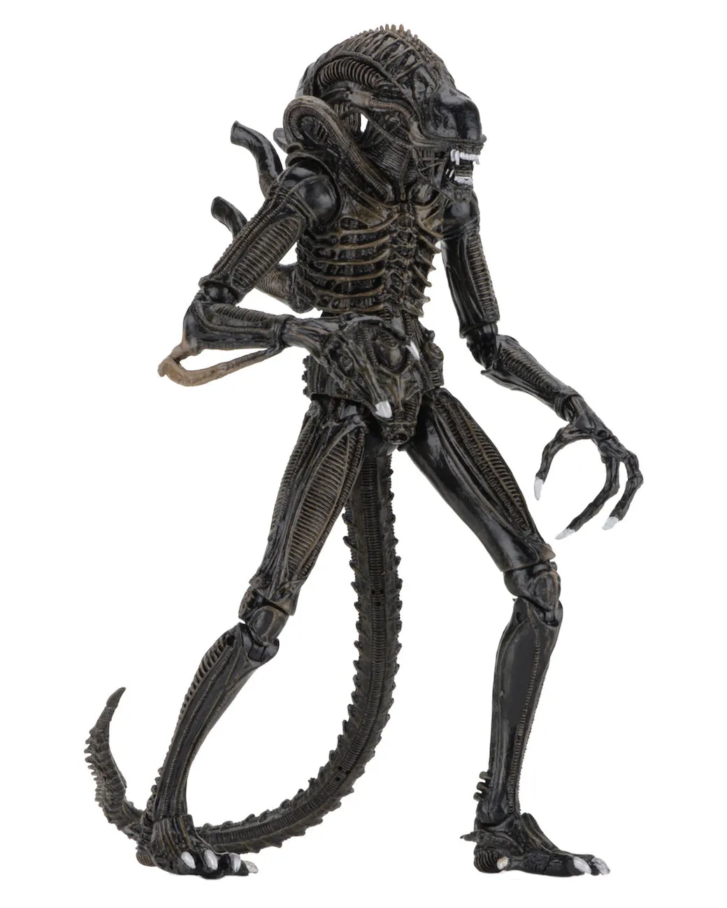 Aliens Ultimate Alien Warrior (1986) Brown Alien 7″ Scale Action Figures - NECA