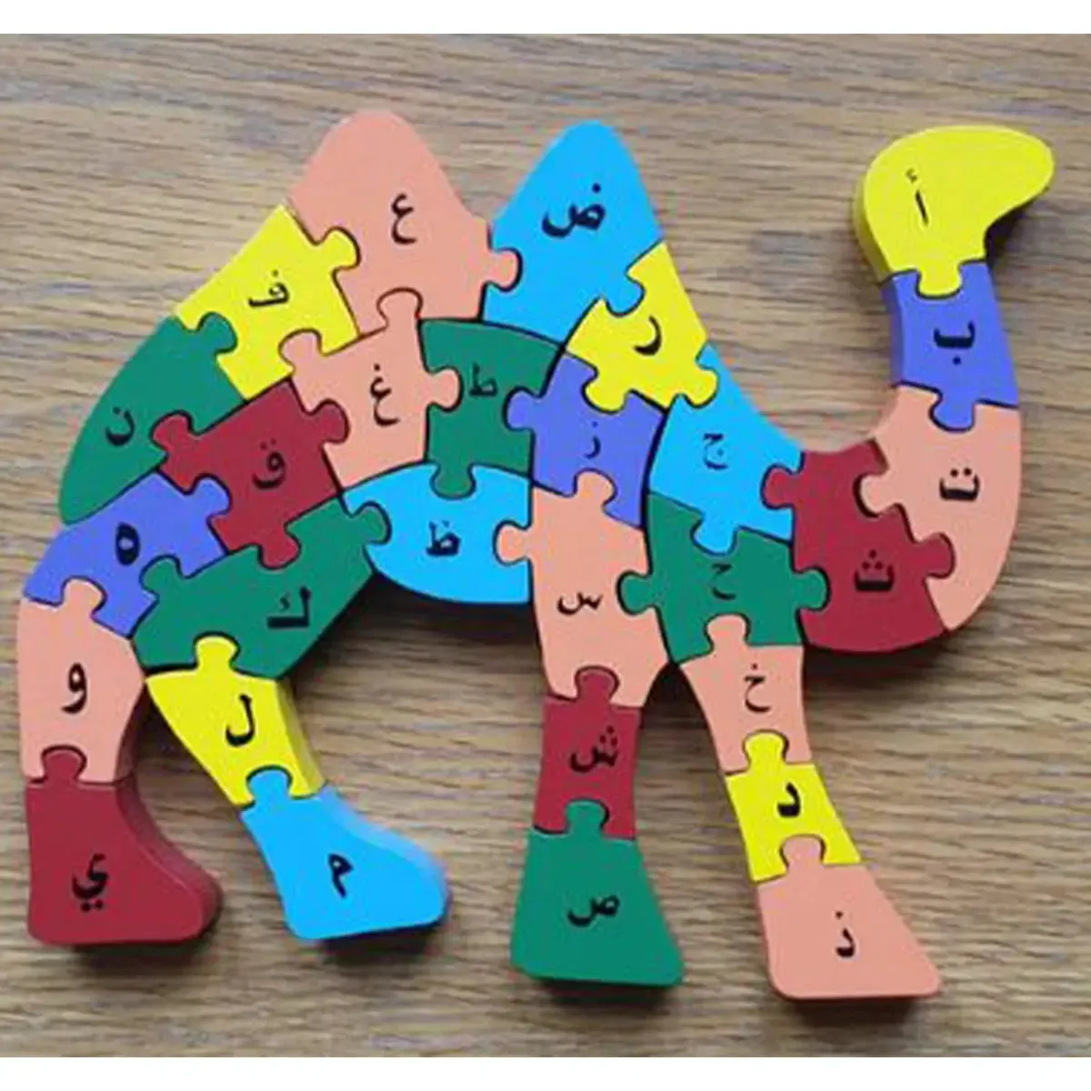 Alphabet Camel (Arabic and English)
