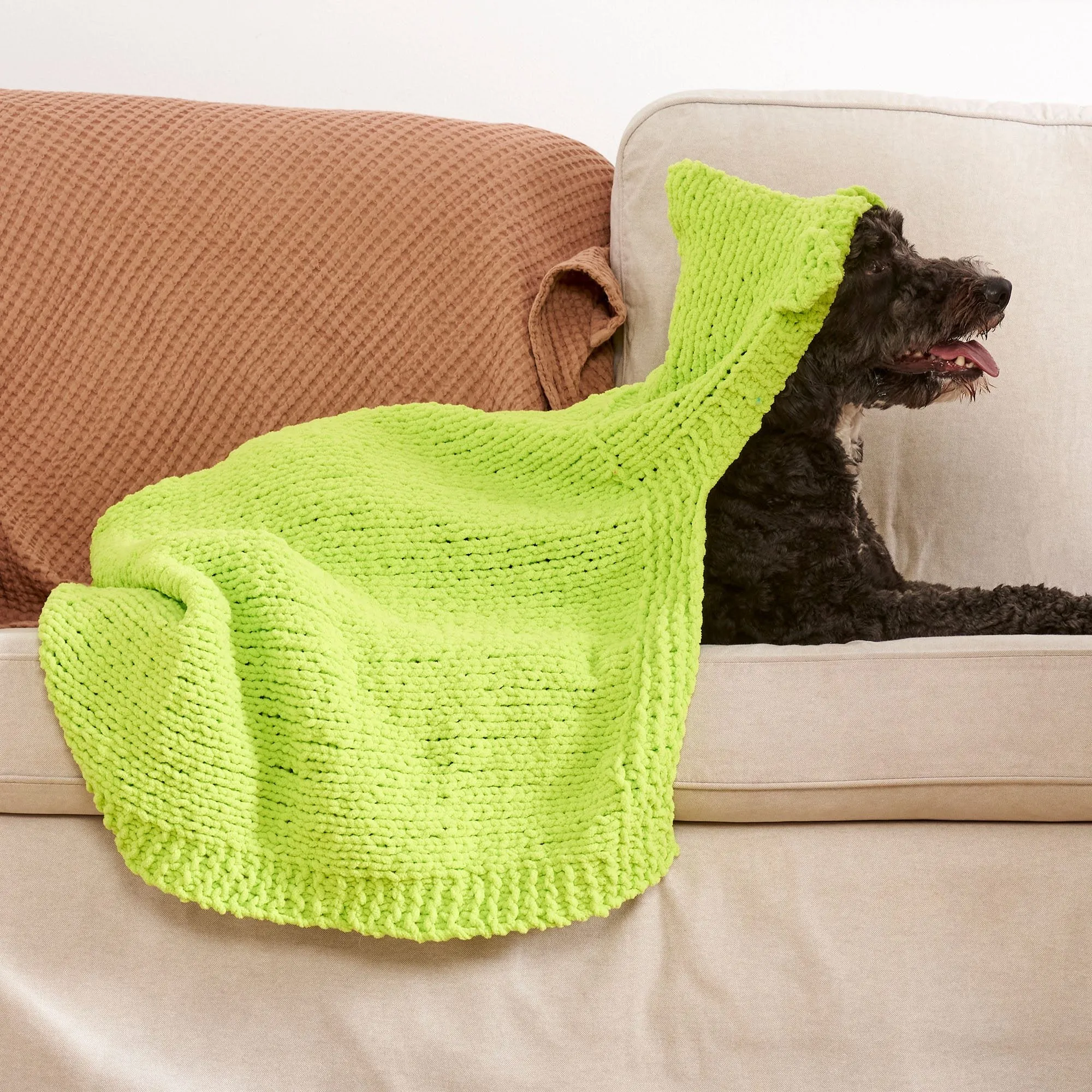 Bernat Bear Hug Hooded Knit Pet Blanket