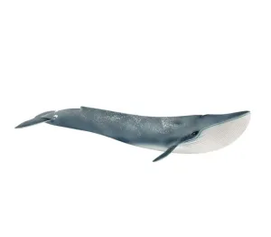 Blue Whale