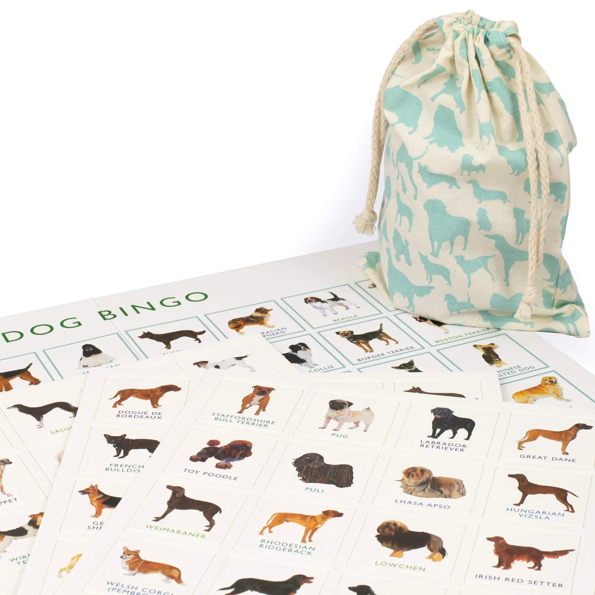 Brumby - Bingo - Dog