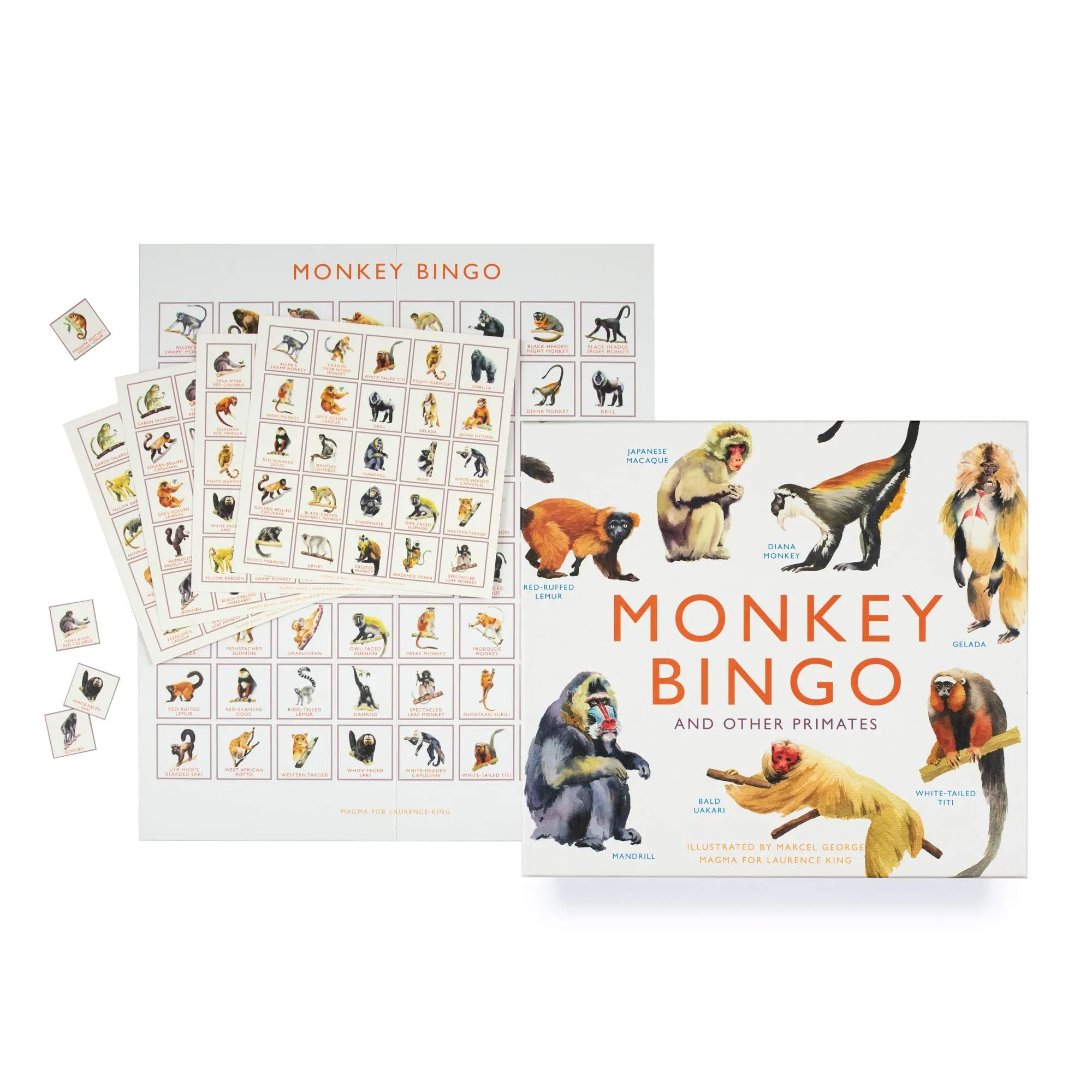 Brumby - Bingo - Monkey