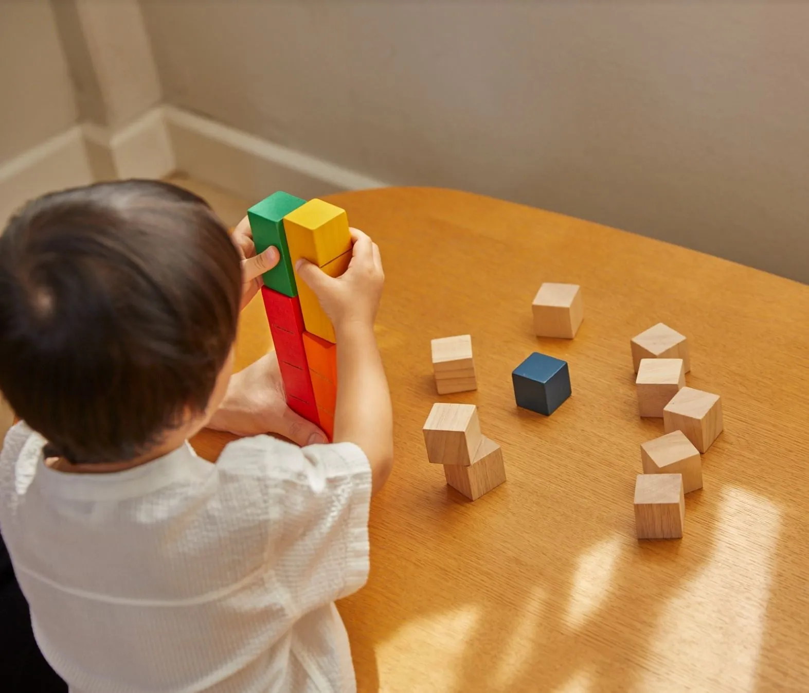 Counting Blocks - Multicolour (Unit Plus Series)
