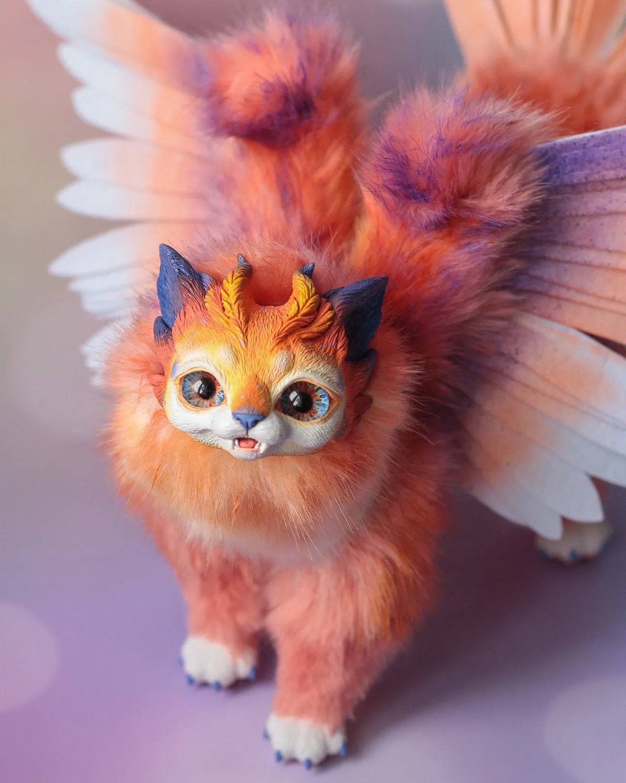 Harpy Cat