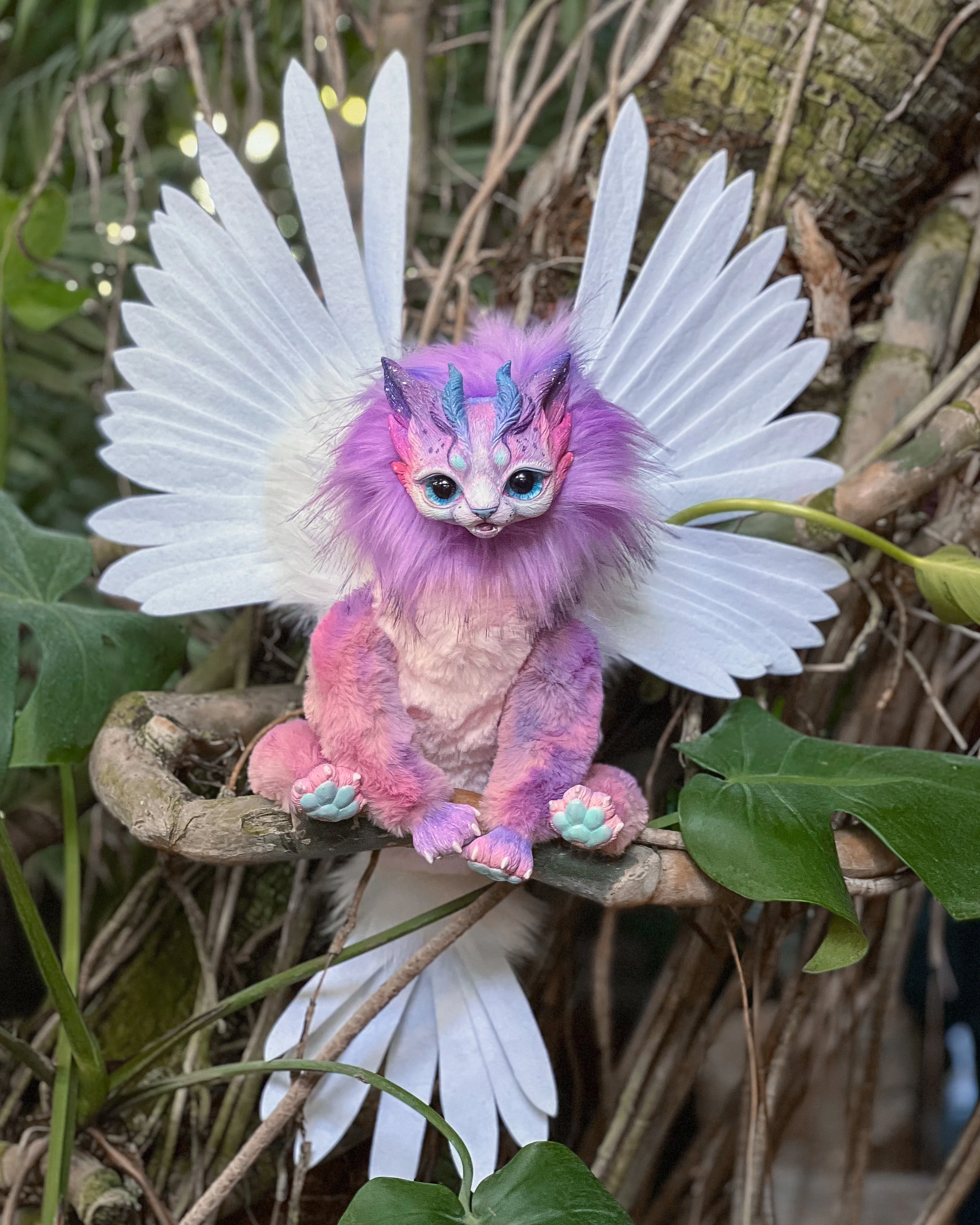 Harpy Cat