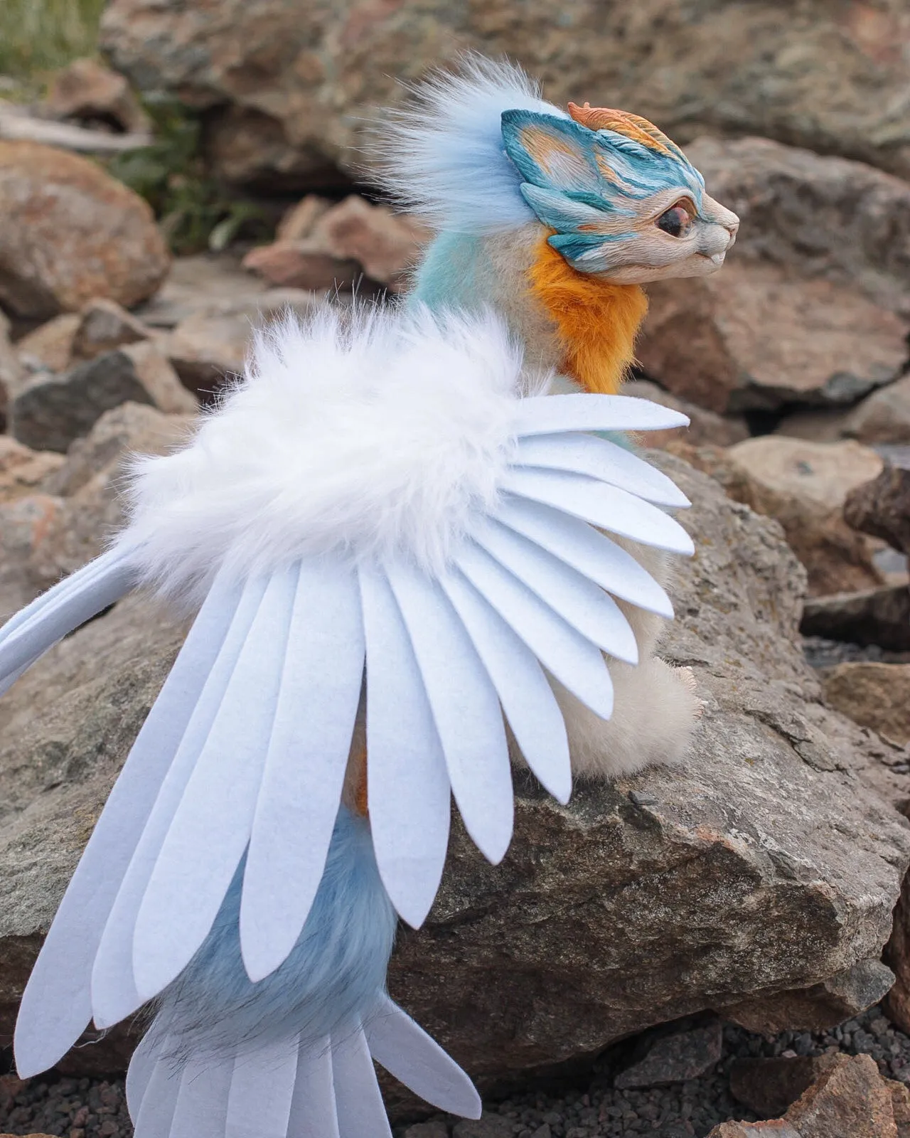 Harpy Cat