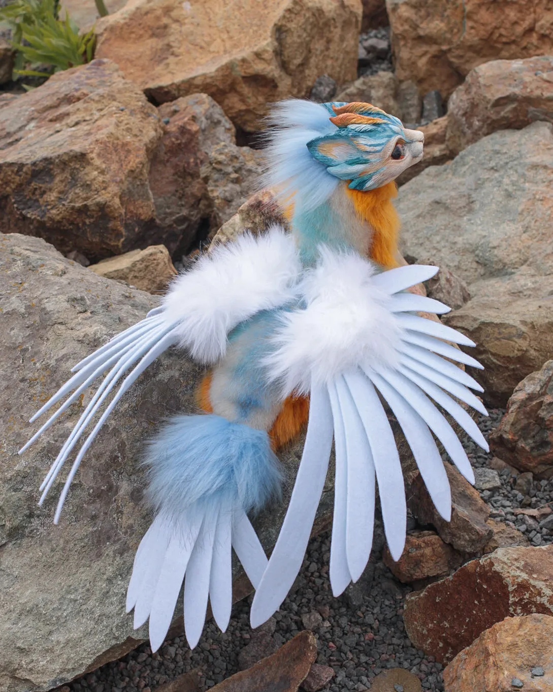 Harpy Cat