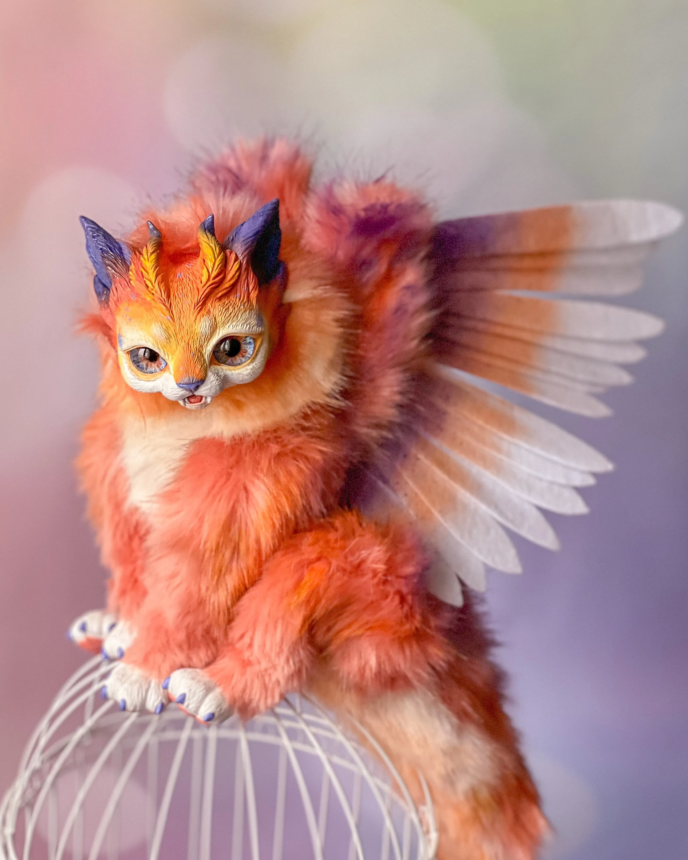 Harpy Cat