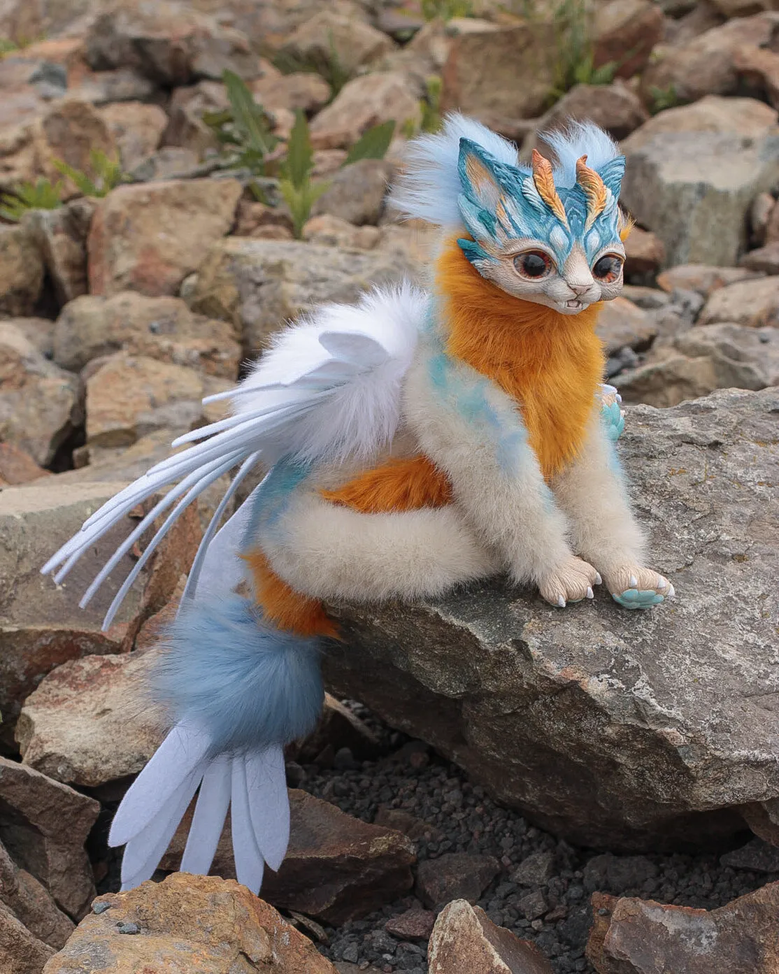 Harpy Cat