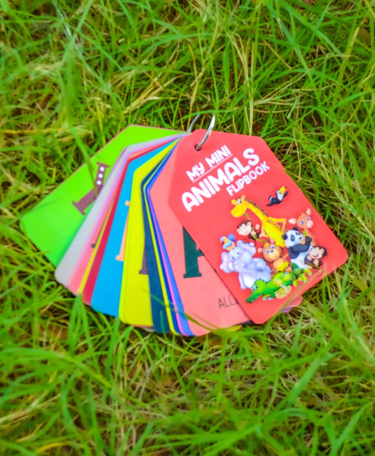 My Mini Animal Learning Flipbook 27 pcs