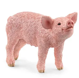 Piglet