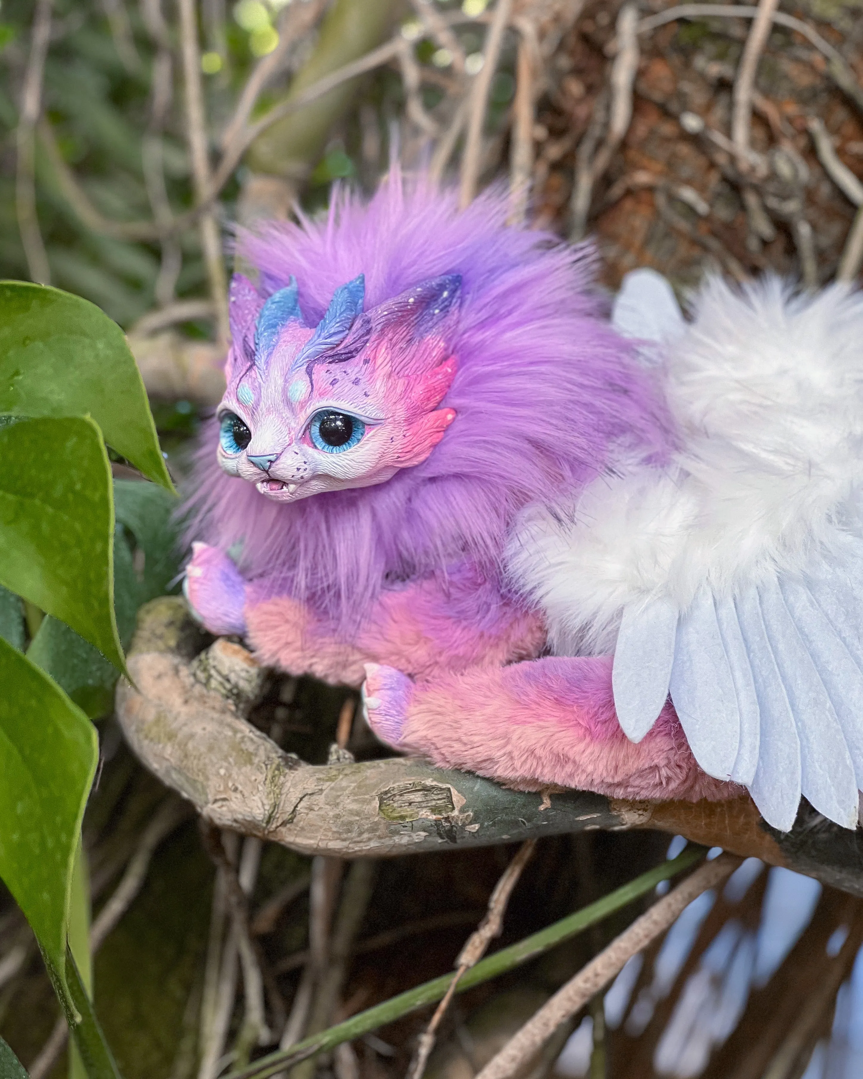 Purple harpy cat