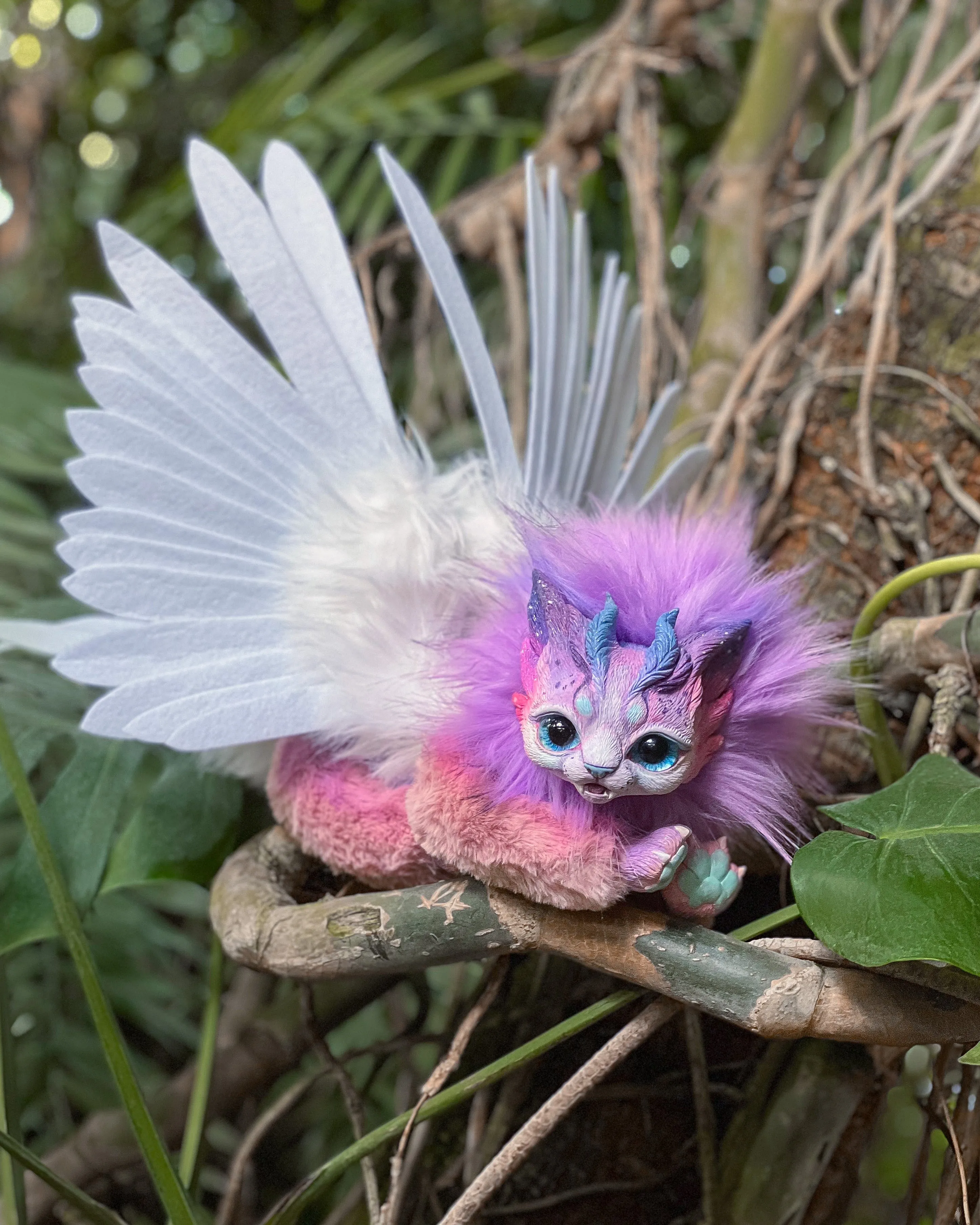 Purple harpy cat