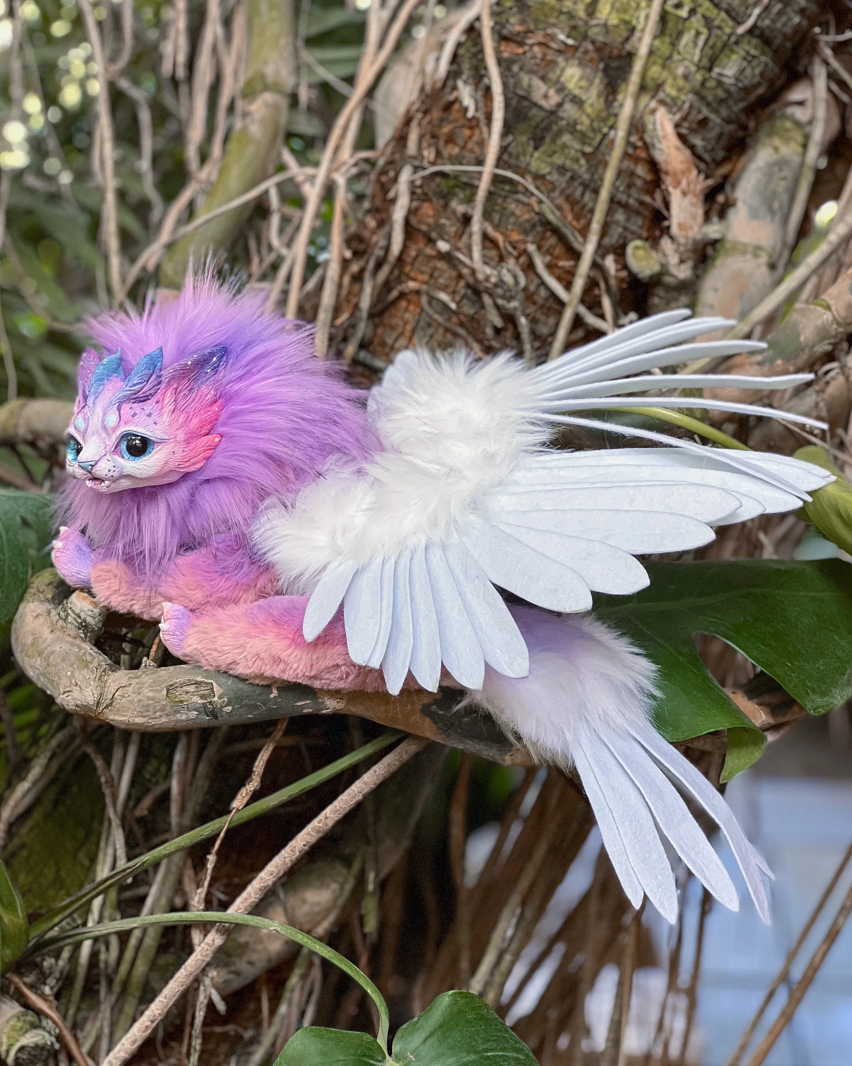Purple harpy cat