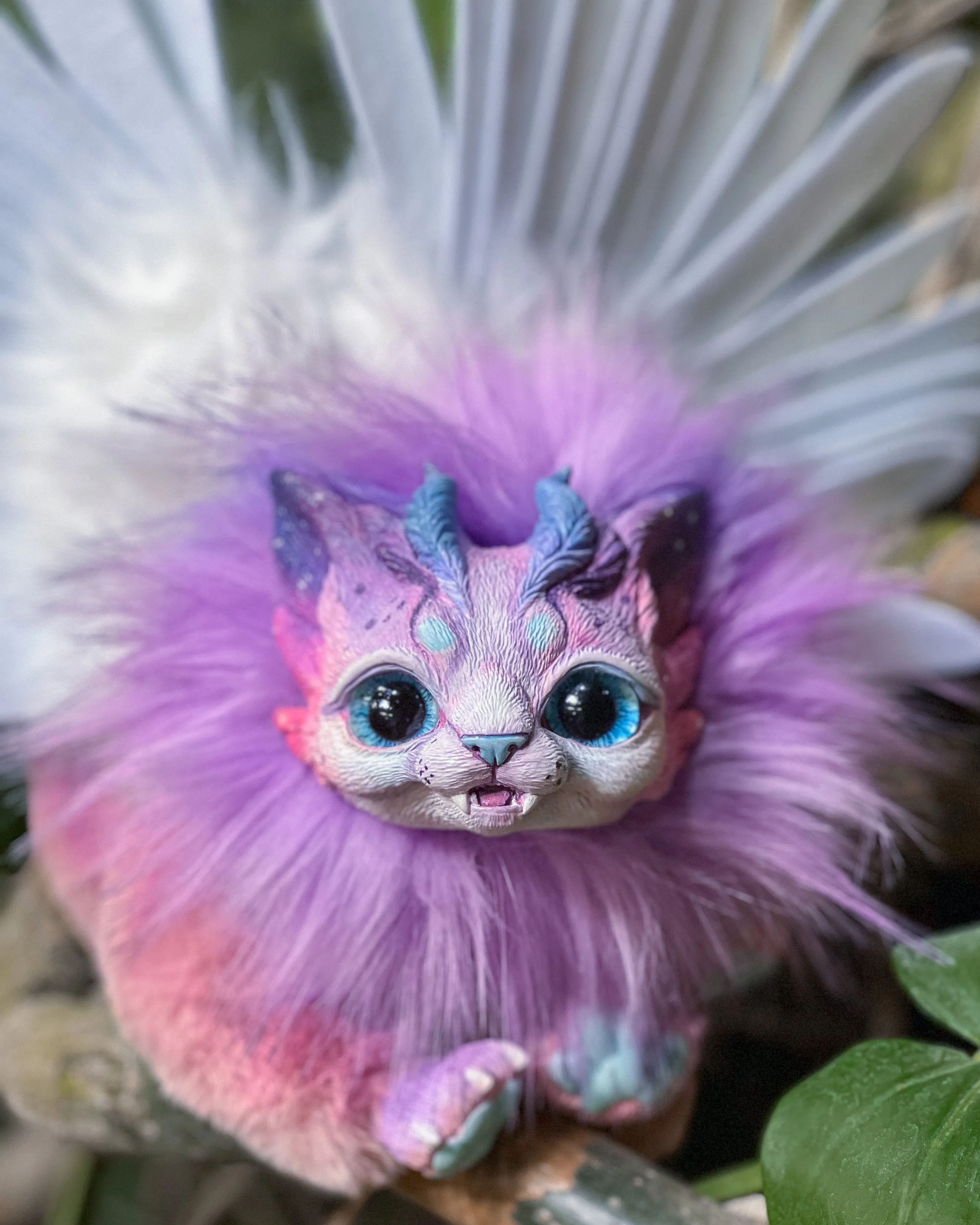 Purple harpy cat