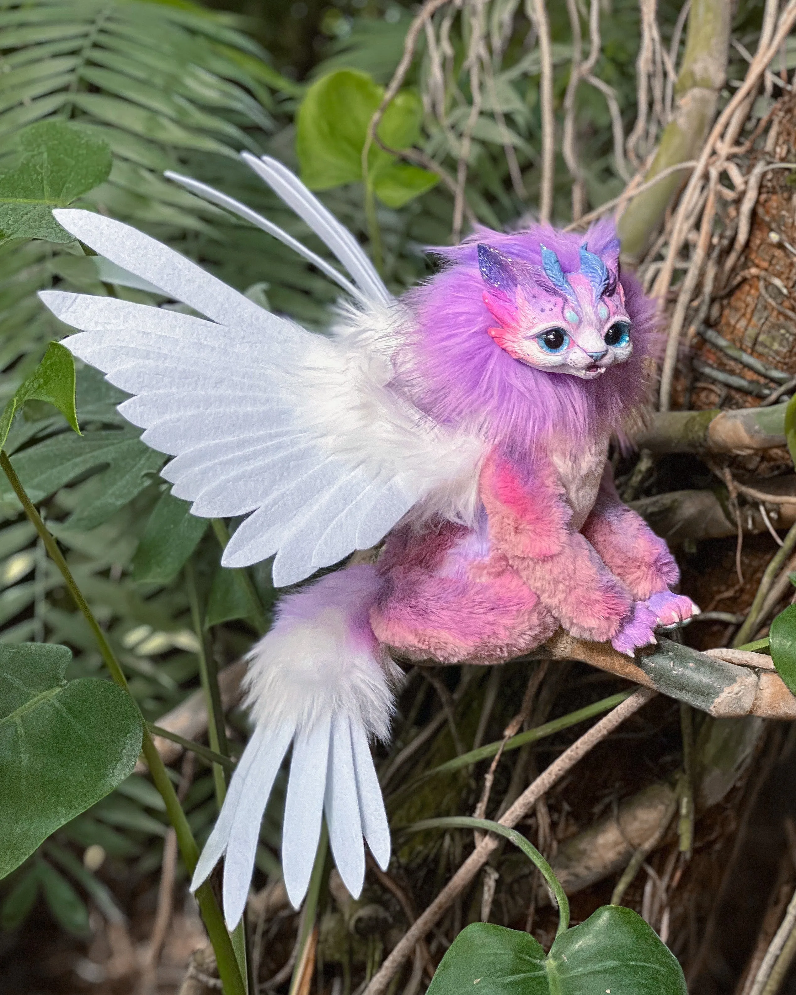 Purple harpy cat